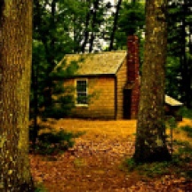 thoreaus-cabin
