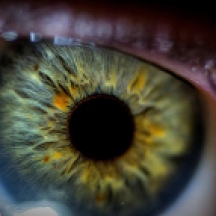 close-up-of-eye2