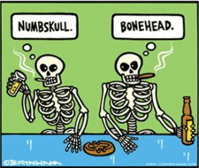 numbskull-bonehead